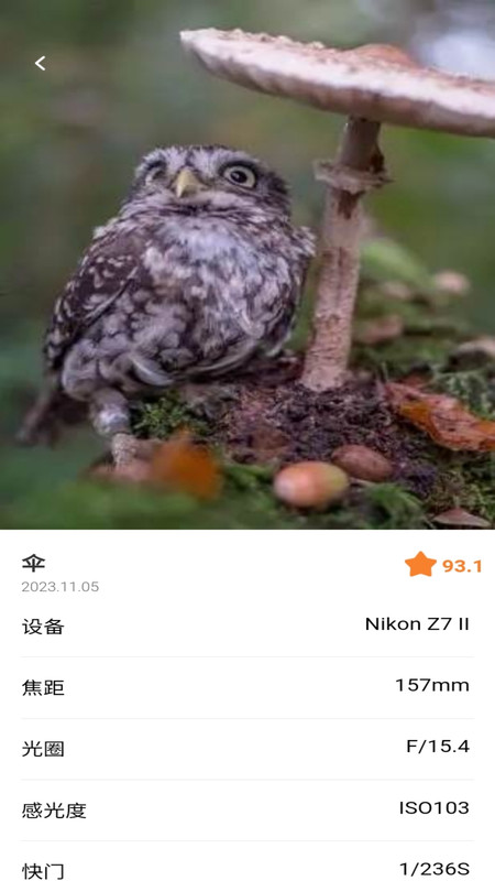 潮流秀图1
