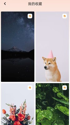天天换壁纸图1