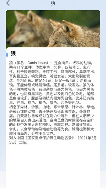 动物物语图3