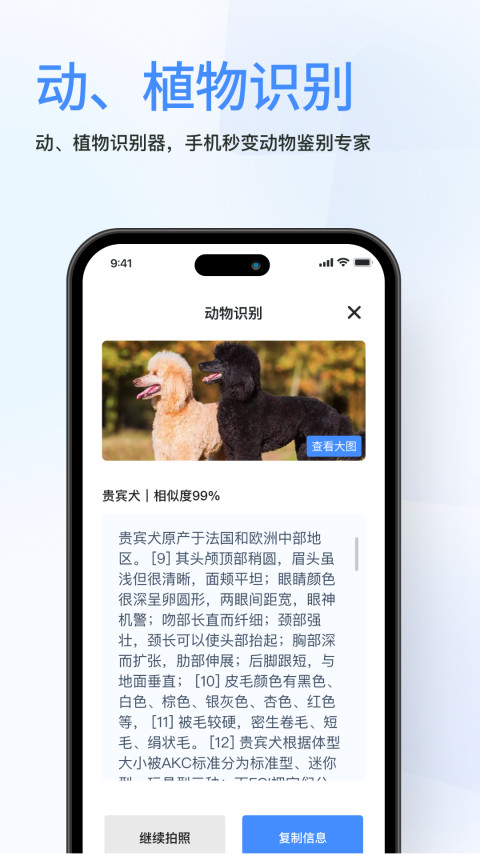 春枫扫描图2