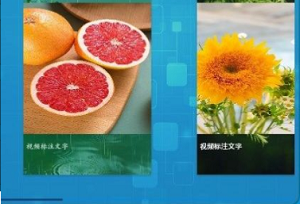 精灵剪辑图4