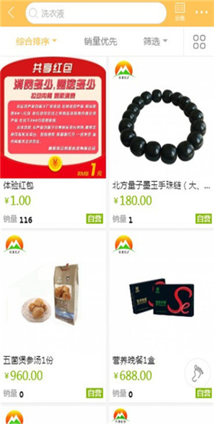 共享村长最新版图3