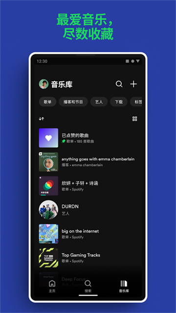 Spotify官方正版(3)