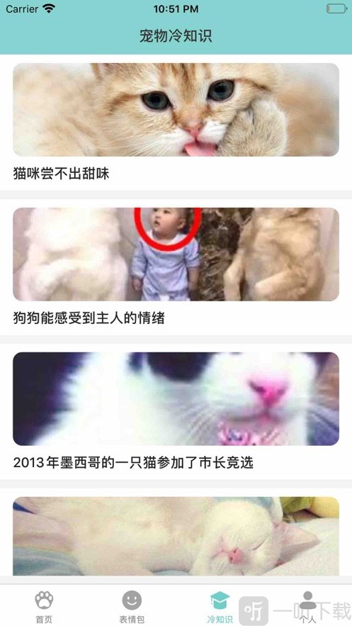 猫狗交流翻译