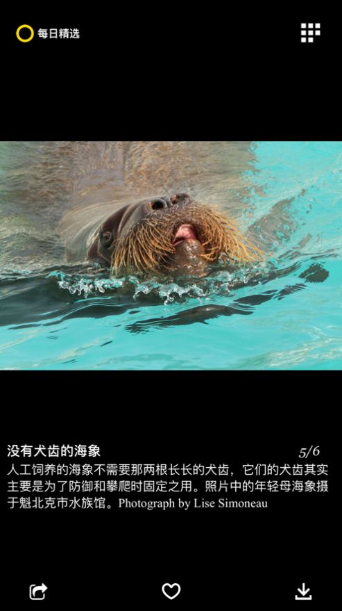 每日精选图2