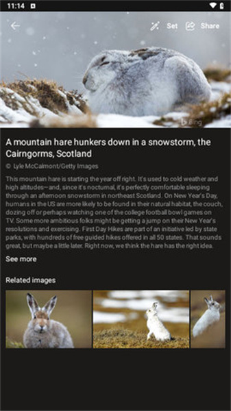 必应壁纸手机版图3