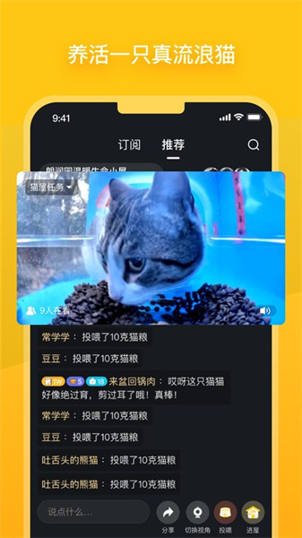 哈啰街猫(1)