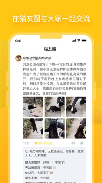 哈啰街猫(2)