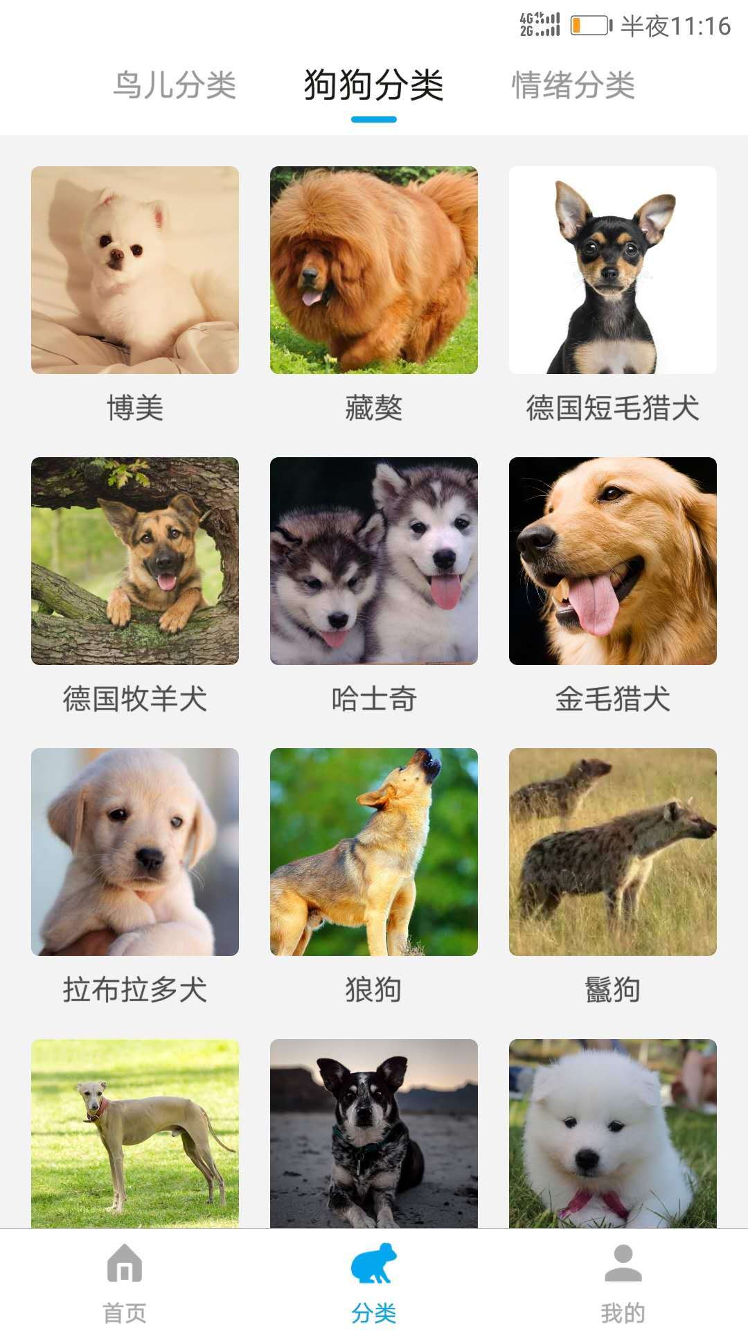 动物翻译器正版(3)