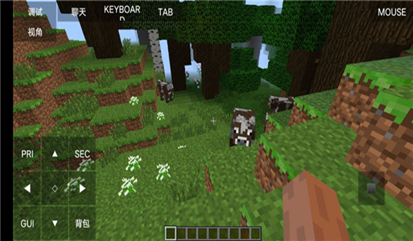 minecraft国际服(2)