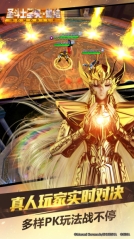 圣斗士星矢：集结(3)