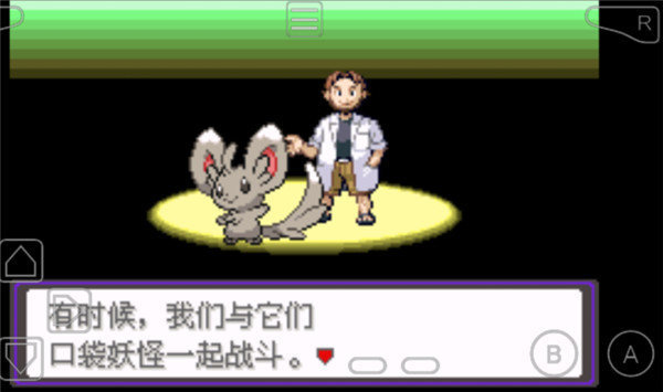 口袋妖怪：漆黑的魅影金手指版(3)