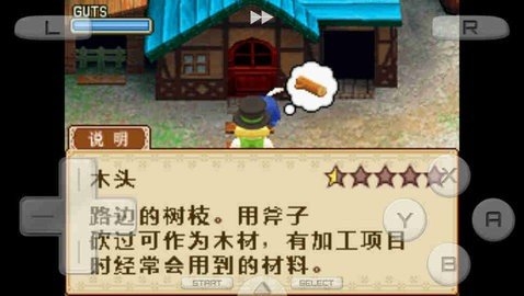 牧场物语风之集会中文版(2)