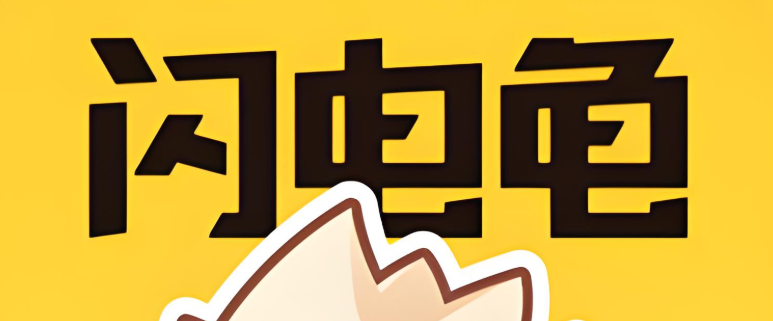 闪电龟所有版本下载合集