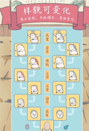 宠我一生2025新版图2