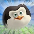企鹅努力飞app官方版