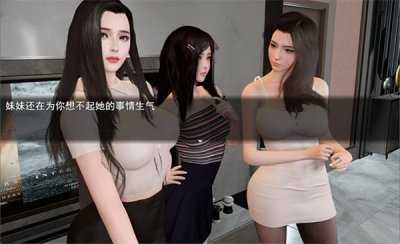 我的幸福人生中文版图3
