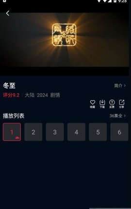 狮子影评官网版