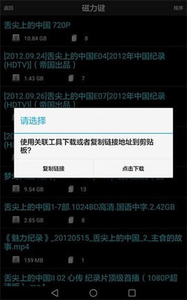 p2psearcher(2)