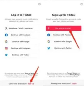 tiktok抖音国际版最新下载