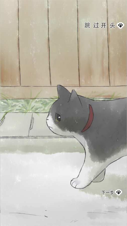 迷途猫图2