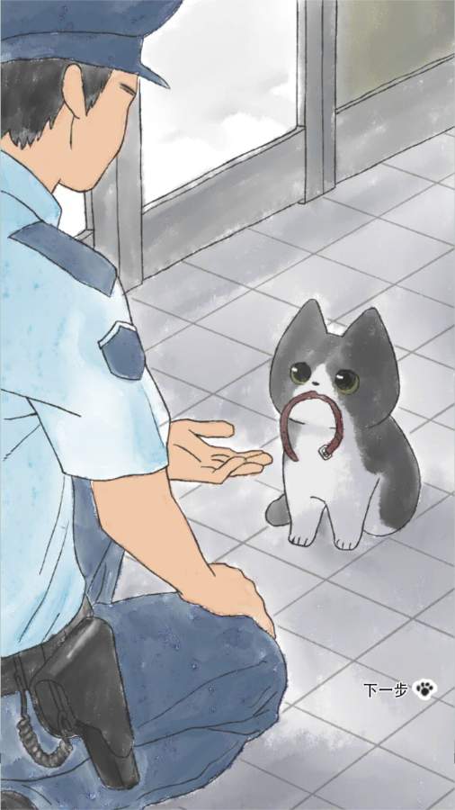 迷途猫图5