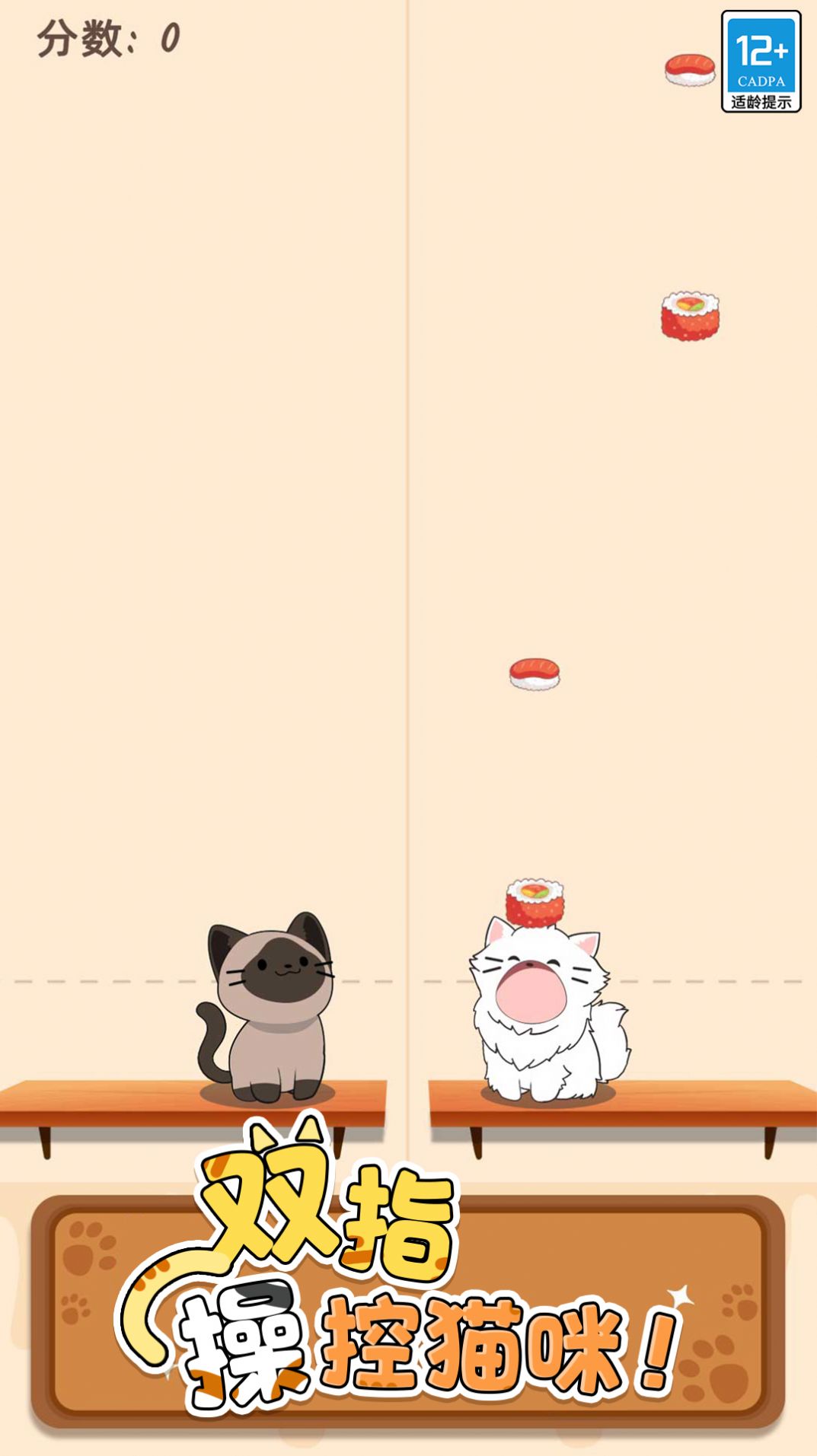 萌猫爱音乐图1