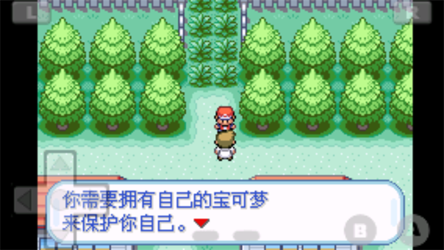 口袋妖怪火紅金手指版