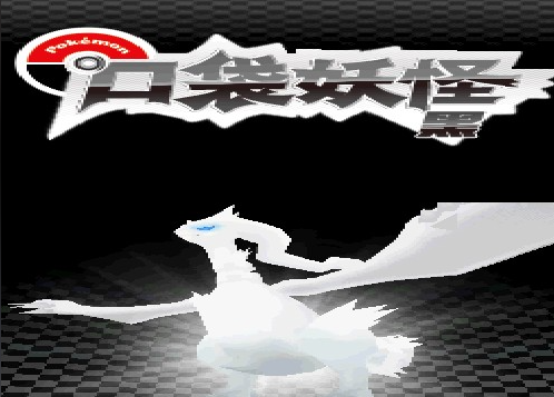 口袋妖怪黑白