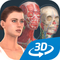 Human body V1.0