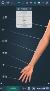 Human body图2