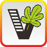 我要自学网 V1.0.6