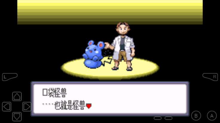口袋妖怪红宝石汉化版(2)