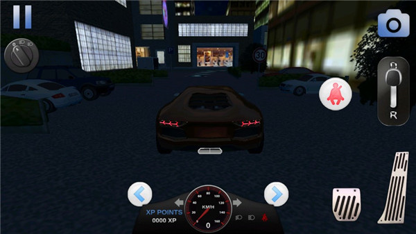 3D驾驶游戏最新版图2