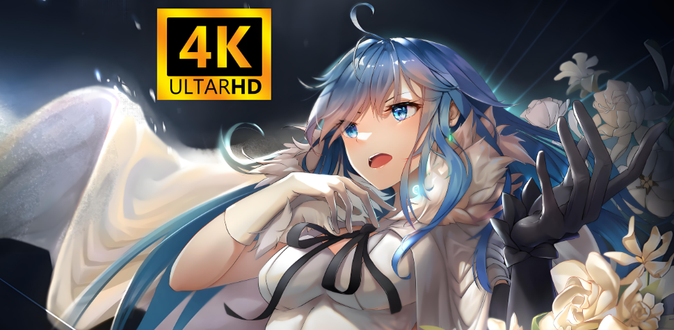 Animeko软件下载大全