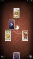 占星猫图3