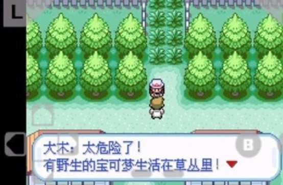 口袋妖怪火红手机版(2)