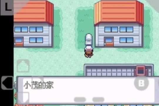 口袋妖怪火红手机版(3)