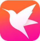 迅雷直播app