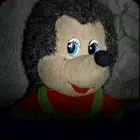 刺猬的五夜后宫