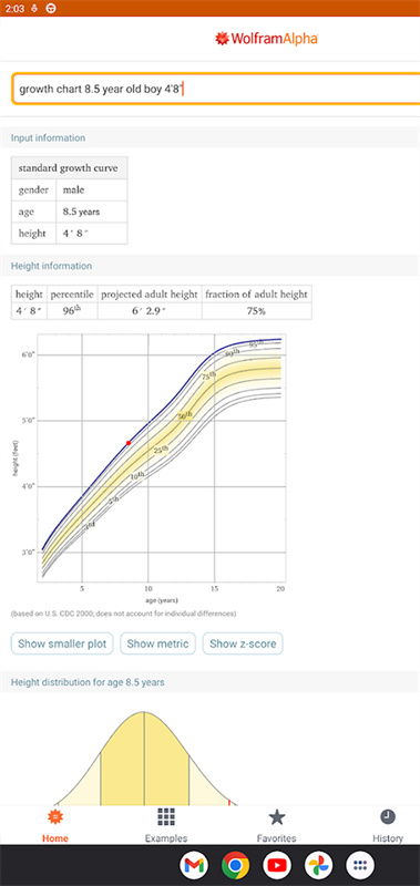 WolframAlpha(4)