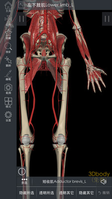 3DBody解剖截图4