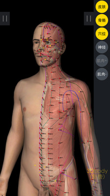 3DBody解剖截图1