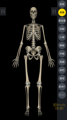 3DBody解剖截图3