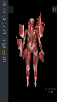 3DBody解剖截图2
