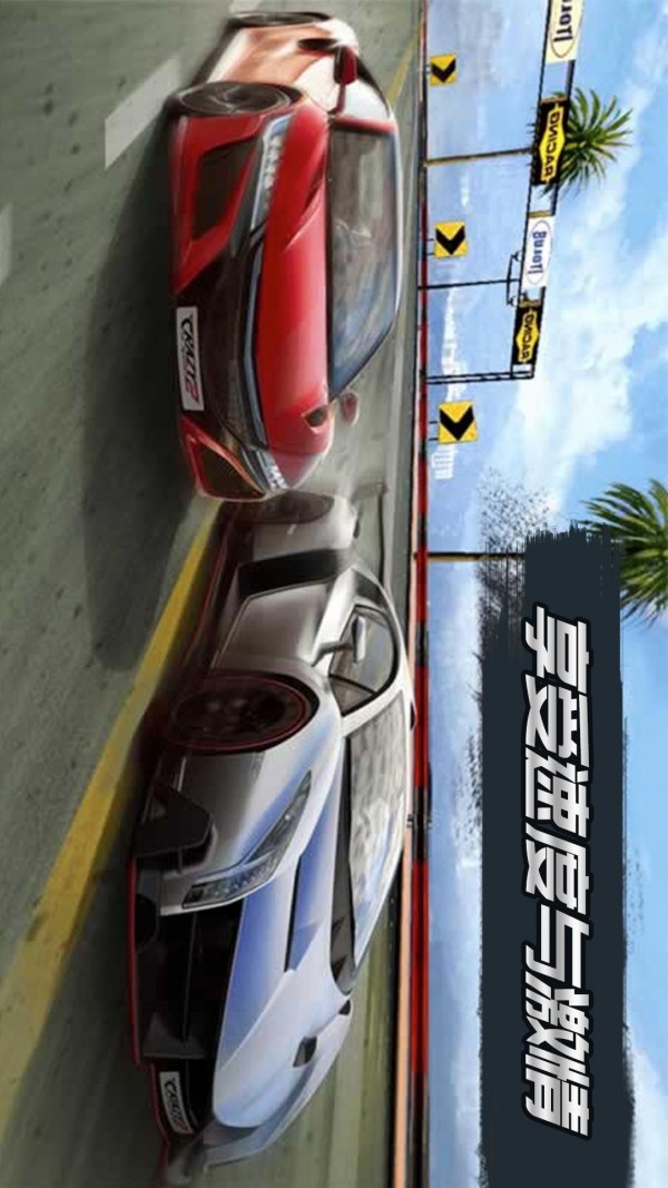 3D飞速狂飙金币版图5