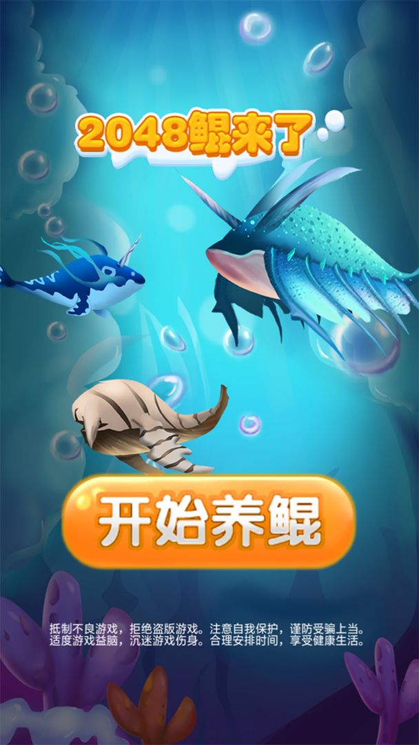 2048鲲来了图4