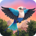 鸟类世界BirdKind