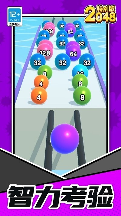 2048特别版图1