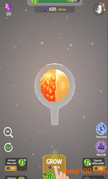 9个月图2